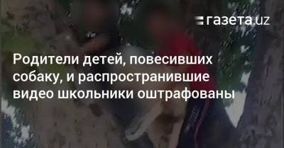 Родители детей, повесивших собаку, оштрафованы - gazeta.uz - Узбекистан - Наманганская обл.