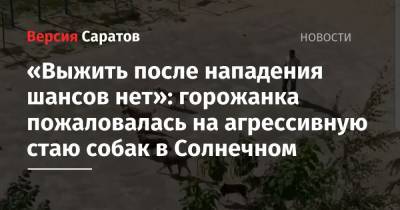 «Выжить после нападения шансов нет»: горожанка пожаловалась на агрессивную стаю собак в Солнечном - nversia.ru - Солнечный