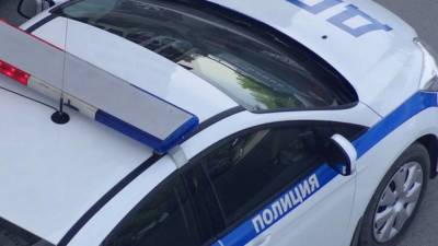 Пьяного водителя каршеринга задержали после погони в Петербурге - newinform.com - Санкт-Петербург
