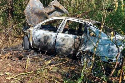 В Марий Эл автомобиль врезался в дерево и сгорел - mk.ru - респ. Марий Эл - район Медведевский