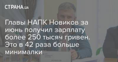 Александр Новиков - Главы НАПК Новиков за июнь получил зарплату более 250 тысяч гривен. Это в 42 раза больше минималки - strana.ua - Украина