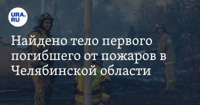 Алексей Текслер - Найдено тело первого погибшего от пожаров в Челябинской области - ura.news - Челябинская обл.
