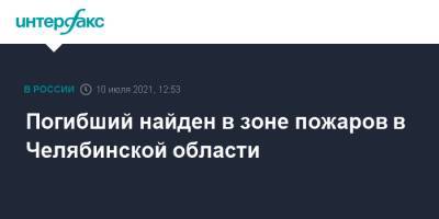 Владимир Путин - Алексей Текслер - Дмитрий Песков - Погибший найден в зоне пожаров в Челябинской области - interfax.ru - Москва - Челябинская обл.