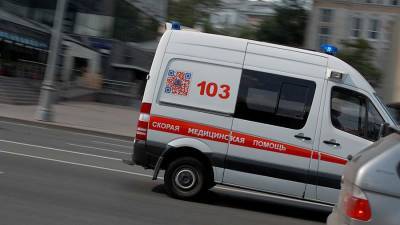 Профессор МГУ ударил сына ножом за замечание - iz.ru - Израиль - Новосибирск