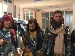 Сухейль Шахин - Эксперт назвал причины визита делегации «Талибана» в Москву - newsland.com - Москва - Россия - Афганистан - Катар