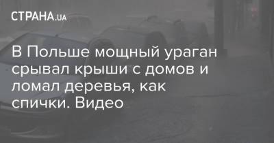 В Польше мощный ураган срывал крыши с домов и ломал деревья, как спички. Видео - strana.ua - Украина - Польша