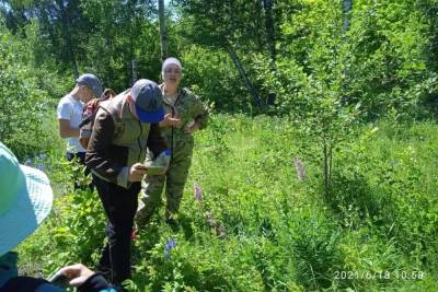Более 200 юных тамбовчан побывали на экскурсиях в заповеднике «Воронинский» - tambov.mk.ru - Тамбов