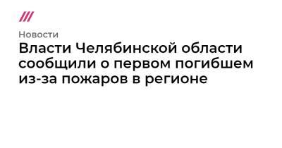 Владимир Путин - Власти Челябинской области сообщили о первом погибшем из-за пожаров в регионе - tvrain.ru - Россия - Челябинская обл.