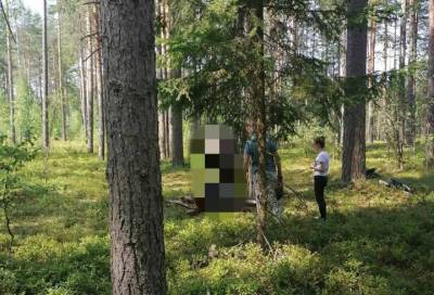 Фото: мертвого мужчину нашли на дереве в Ленобласти - online47.ru - Ленинградская обл. - Приозерск