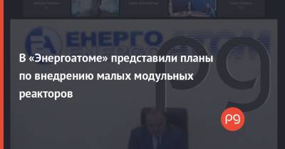 Петр Котин - В «Энергоатоме» представили планы по внедрению малых модульных реакторов - thepage.ua - Украина