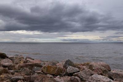 Все водоемы Петербурга провалили проверки Роспотребнадзора - spb.mk.ru - Санкт-Петербург
