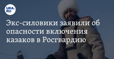 Владимир Путин - Юрий Чайка - Михаил Игнатов - Экс-силовики заявили об опасности включения казаков в Росгвардию - ura.news - Россия - окр. Скфо