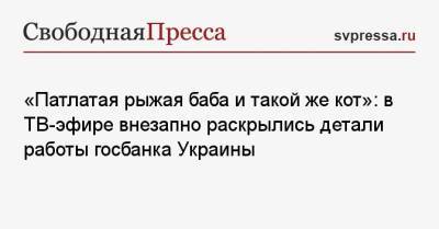 Юрий Атаманюк - «Патлатая рыжая баба и такой же кот»: в ТВ-эфире внезапно раскрылись детали работы госбанка Украины - svpressa.ru - Украина