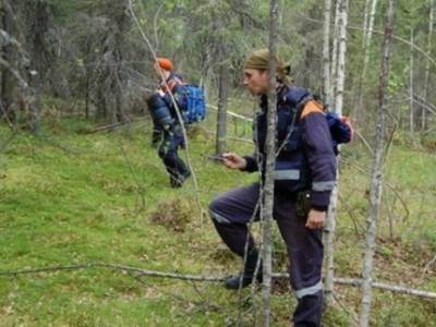 В Тюмени нашли пропавшего 15-летнего подростка: парень неделю провел в лесу - nakanune.ru - Тюмень