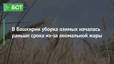 В Башкирии уборка озимых началась раньше срока из-за аномальной жары - bash.news - Башкирия