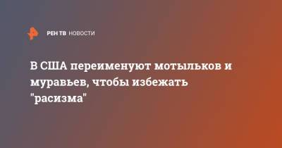 В США переименуют мотыльков и муравьев, чтобы избежать "расизма" - ren.tv - США