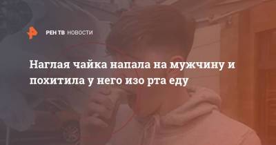 Наглая чайка напала на мужчину и похитила у него изо рта еду - ren.tv - Англия - Великобритания