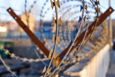Гитанас Науседа - Агентство ЕС удвоит масштабы операции на границе с Белоруссией - mk.ru - Белоруссия - Германия - Польша - Литва