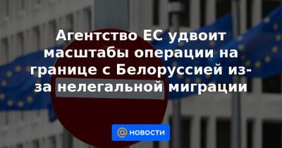 Агентство ЕС удвоит масштабы операции на границе с Белоруссией из-за нелегальной миграции - news.mail.ru - Белоруссия - Литва - Варшава