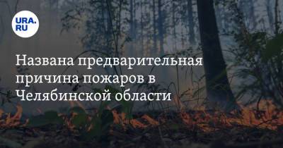 Владимир Путин - Названа предварительная причина пожаров в Челябинской области - ura.news - Россия - Челябинская обл. - Париж