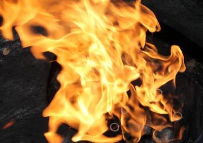 Под Рязанью зафиксировали умышленные поджоги леса - ya62.ru - Рязань