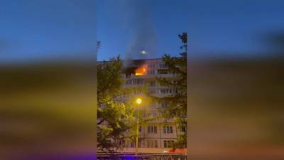В пожаре на Замшиной погиб человек - piter.tv
