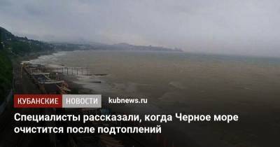 Александр Колесник - Специалисты рассказали, когда Черное море очистится после подтоплений - kubnews.ru - Краснодарский край - Черное Море