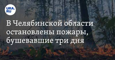 В Челябинской области остановлены пожары, бушевавшие три дня - ura.news - Челябинская обл. - район Нагайбакский