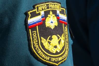 В Тульской области за сутки спасатели ликвидировали 8 пожаров - tula.mk.ru - Россия - Тула - Тульская обл. - район Дубенский