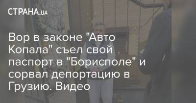 Вор в законе "Авто Копала" съел свой паспорт в "Борисполе" и сорвал депортацию в Грузию. Видео - strana.ua - Россия - Украина - Грузия