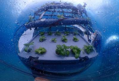 Первая в мире подводная ферма возобновляет выращивание клубники - agroportal.ua - Украина - Италия