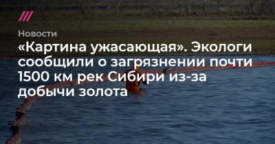 «Картина ужасающая». Экологи сообщили о загрязнении почти 1500 км рек Сибири из-за добычи золота - tvrain.ru - Красноярский край - Кемеровская обл. - Амурская обл. - Хабаровский край - респ.Тыва - Забайкальский край - респ. Хакасия - Экология