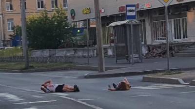 В Красносельском районе парочка отдыхала под лучами солнца на проезжей части - piter.tv - Ленинградская обл. - Санкт-Петербург