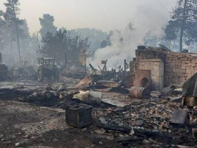 Пострадавшие от лесных пожаров в Челябинской области получат материальную помощь - u24.ru - Челябинская обл.