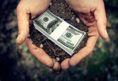 Каждый украинец имеет право на землю: почему она достанется не всем - vchaspik.ua - Украина
