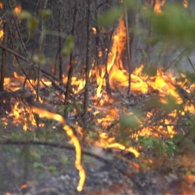 Пострадавшие при пожарах жители челябинских сел начали получать материальную помощь - radiomayak.ru - Челябинская обл.
