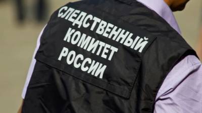 В Москве мальчик выкинул из окна новорожденную сестру - piter.tv - Москва - Россия