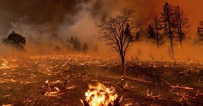 Крупные лесные пожары в Калифорнии: эвакуированы 3 тысячи человек (ФОТО) - dsnews.ua - США - Украина - шт. Калифорния