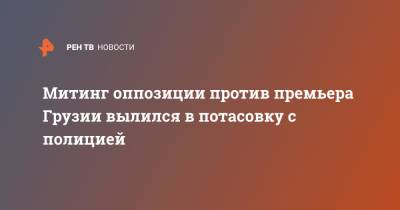 Митинг оппозиции против премьера Грузии вылился в потасовку с полицией - ren.tv - Грузия - Тбилиси