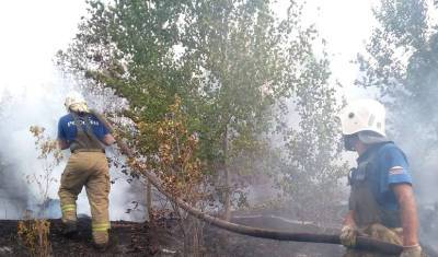 В Тольятти огонь занял более 15 га леса - newizv.ru - Тольятти