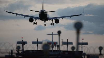 Халед Аль-Анани - В Минтуризма Египта рассказали о работе с Россией по запуску чартеров - iz.ru - Россия - Израиль - Египет