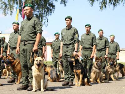 Владимир Зеленский - Собаки-пограничники впервые будут участвовать в параде ко Дню Независимости – Госпогранслужба Украины - gordonua.com - Украина - Киев - Львовская обл.