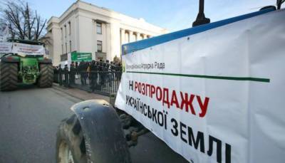Юлия Тимошенко - Почему на Украине заговорили о голоде - newsland.com - Украина