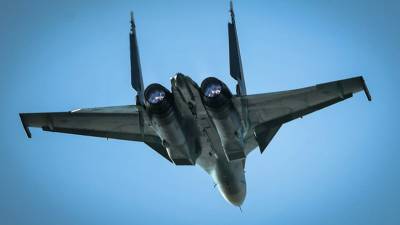 Су-30СМ и Су-27 поднимались в воздух для недопущения нарушения границы - russian.rt.com - Россия - США