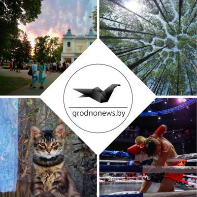 По-настоящему культурное воскресенье. Главное за 11 июля - grodnonews.by - Белоруссия