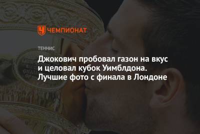 Джокович Новак - Маттео Берреттини - Джокович пробовал газон на вкус и целовал кубок Уимблдона. Лучшие фото с финала в Лондоне - championat.com - США - Токио - Лондон - Сербия