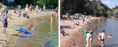 На пляже Обского моря в Новосибирске найдено тело мужчины - runews24.ru - Новосибирск