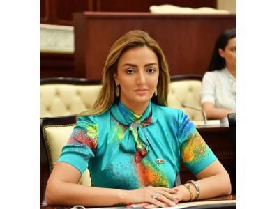 Ильхам Алиев - Страны-сопредседатели больше заинтересованы в сохранении статус-кво, чем в разрешении конфликта – азербайджанский депутат - trend.az - Азербайджан