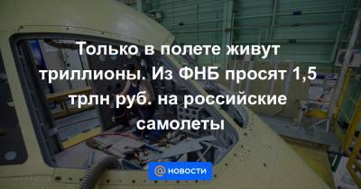 Только в полете живут триллионы. Из ФНБ просят 1,5 трлн руб. на российские самолеты - news.mail.ru - Россия