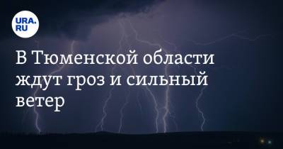 В Тюменской области ждут грозу и сильный ветер - ura.news - Тюмень - Тюменская обл.